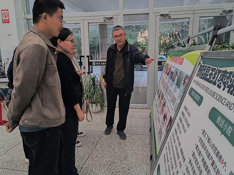 交流学习 交流学习