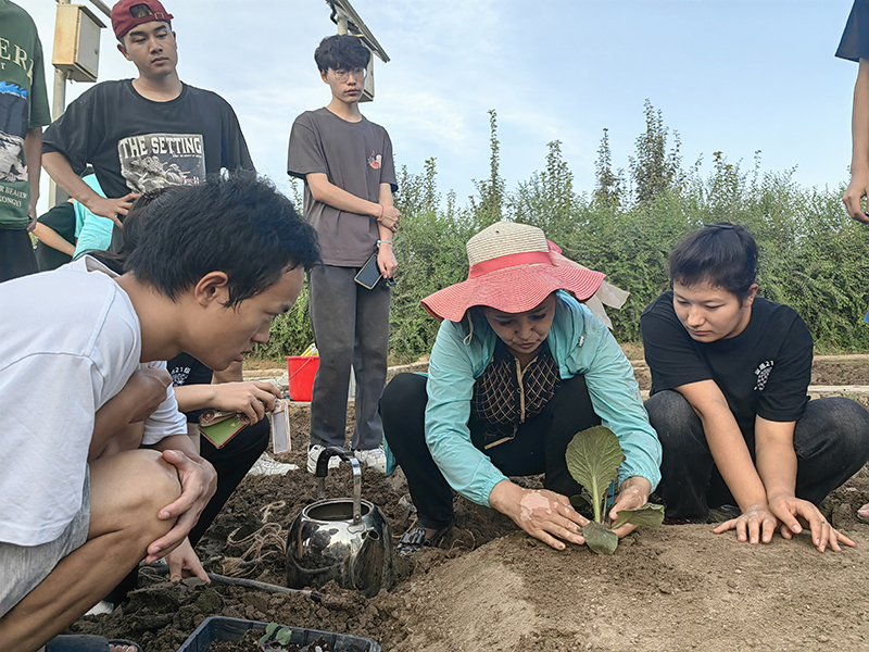 IMG_20230826_203733 IMG_20230826_203733