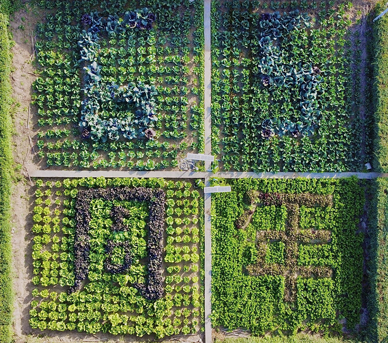 9141c8f03a2e784121f0452bea82e5ee_800_ek=1&kp=1&w5=1808&h5=1600&pt=7#sce=21-1-1&rf=groupPhoto 9141c8f03a2e784121f0452bea82e5ee_800_ek=1&kp=1&w5=1808&h5=1600&pt=7#sce=21-1-1&rf=groupPhoto