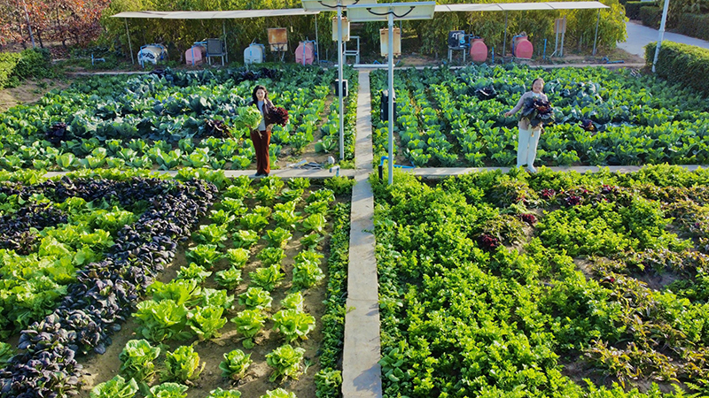 1f154e658485c3eb0b40388049a54afb_800_ek=1&kp=1&w5=2844&h5=1600&pt=7#sce=21-1-1&rf=groupPhoto 1f154e658485c3eb0b40388049a54afb_800_ek=1&kp=1&w5=2844&h5=1600&pt=7#sce=21-1-1&rf=groupPhoto