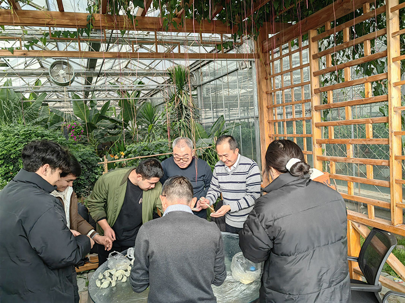 1包饺子 1包饺子