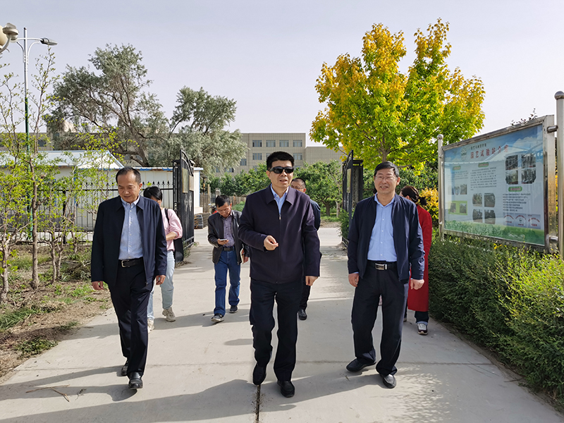 IMG_20230508_181213 IMG_20230508_181213