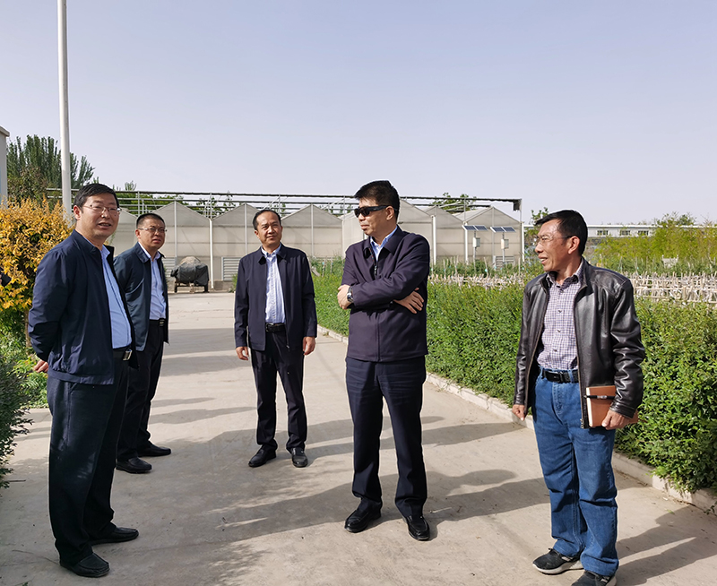 IMG_20230508_182434 IMG_20230508_182434