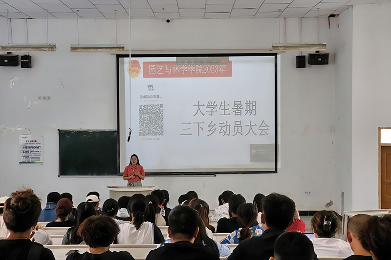 retouch_2023060801522583 retouch_2023060801522583