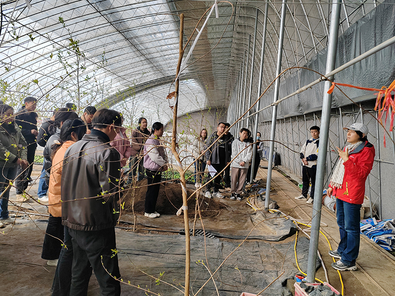 6c65df7ddada3883e82febe366d85c2b 6c65df7ddada3883e82febe366d85c2b