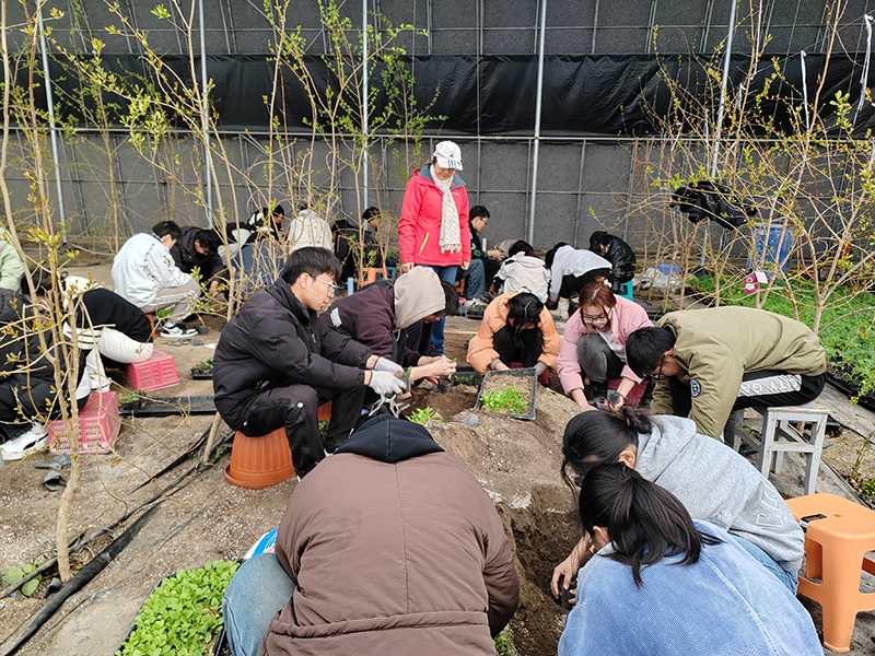 2caeb9112645785ab68361b5d45222ff