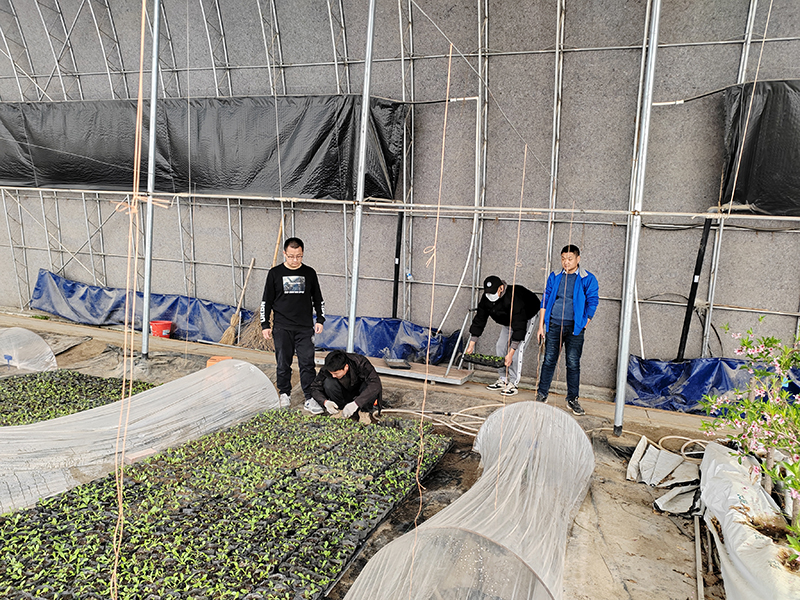 a3d81a4975553d5a3a297a5ae30224cb