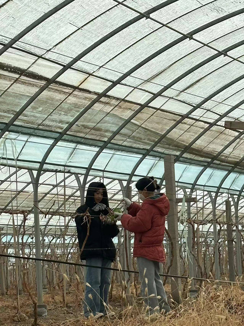 QQ图片20240328231325 QQ图片20240328231325