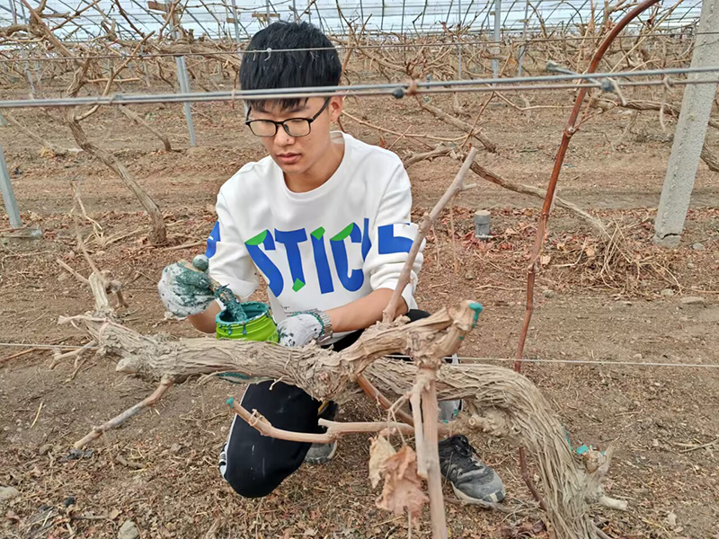 QQ图片20240328231704