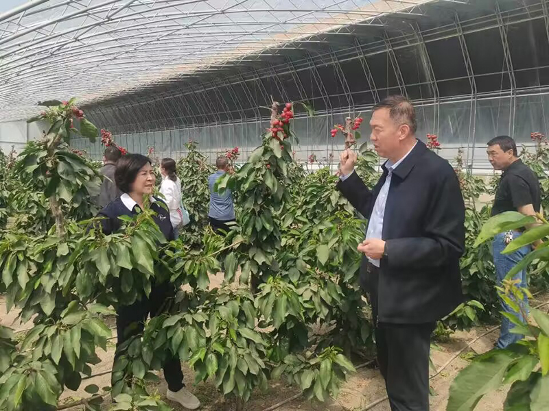 双方就产业规模进行交流 双方就产业规模进行交流