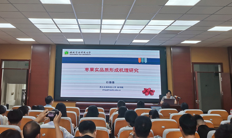 枣果实品质形成机理研究的学术报告