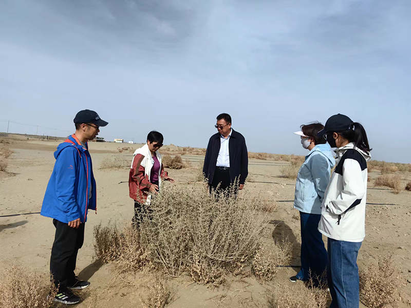 微信图片_2 微信图片_2