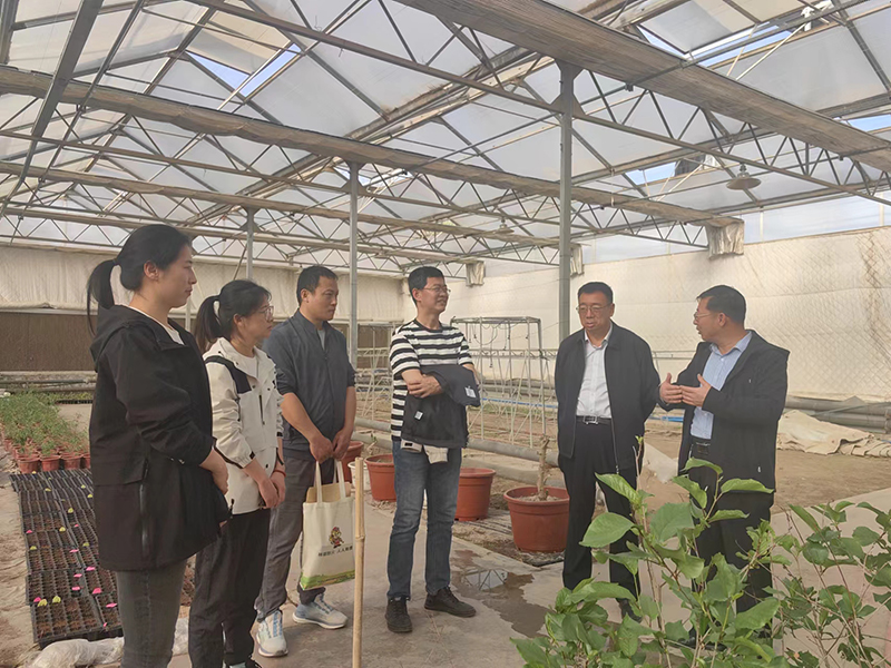 微信图片_3 微信图片_3