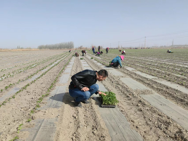 2-2_副本 2-2_副本