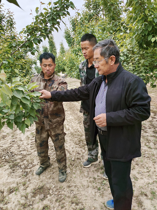 1683647230505_副本