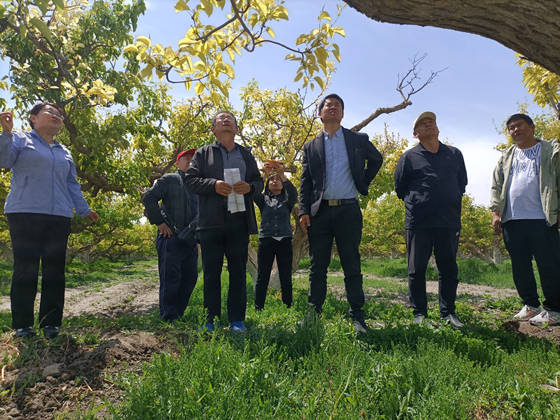 IMG20230503130950_副本 IMG20230503130950_副本