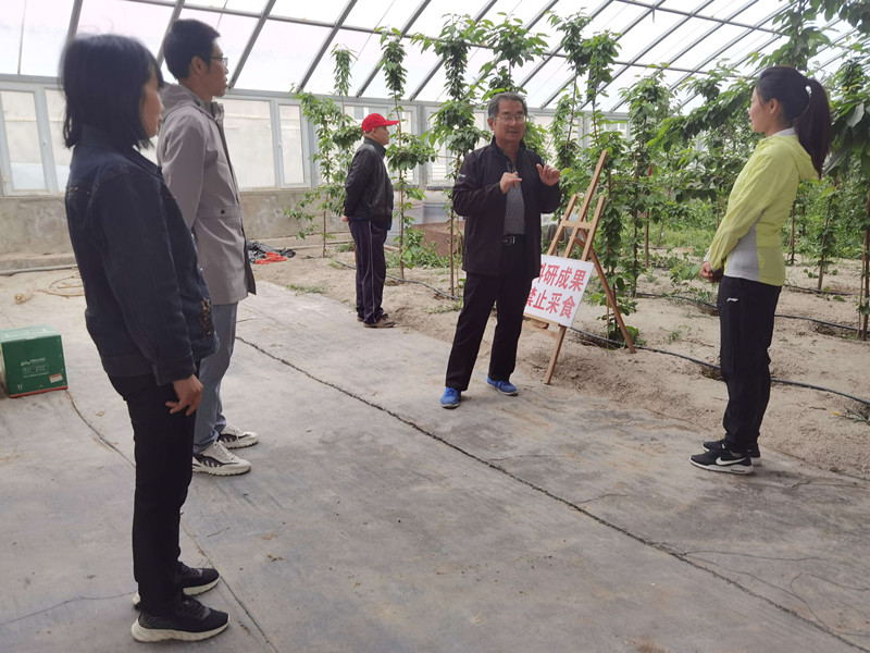 QQ图片20230523185731_副本