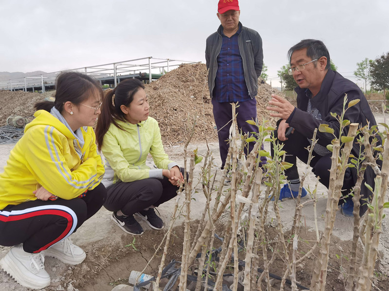 QQ图片20230523185738_副本 QQ图片20230523185738_副本