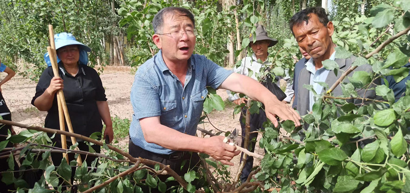 79646cf88f0eb74ca8ab095f5183b24_副本