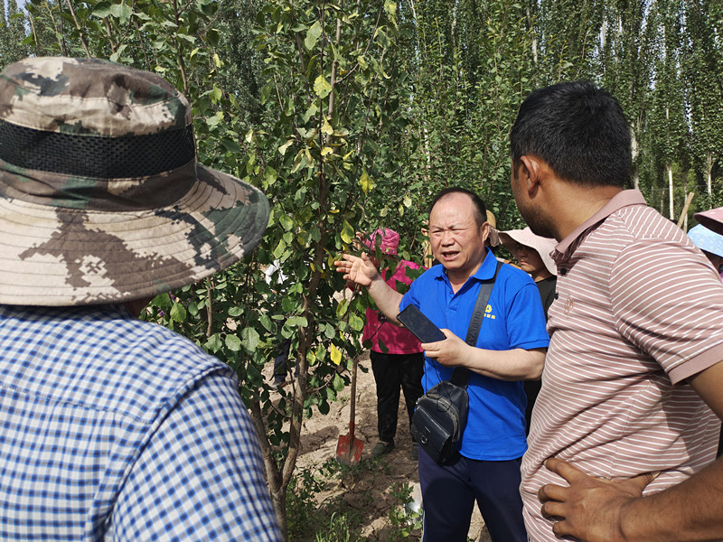 IMG_20230611_110247 (1)_副本 IMG_20230611_110247 (1)_副本