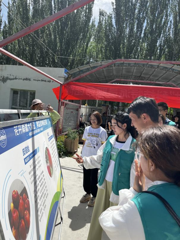 图片5_副本 图片5_副本