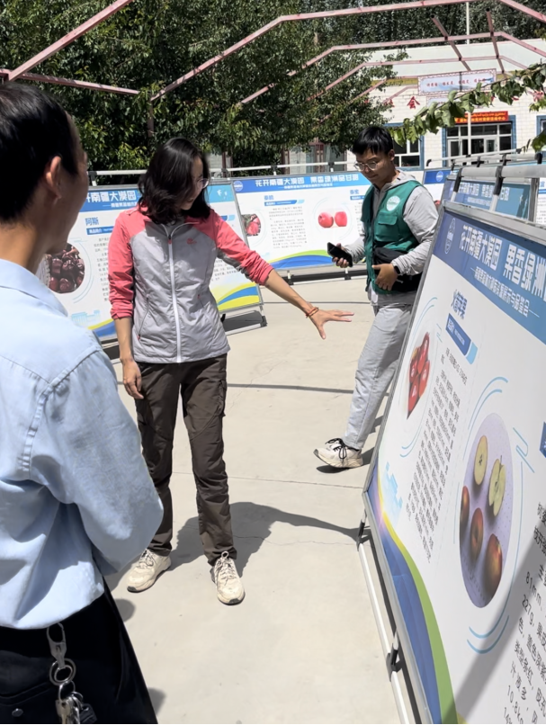 图片4_副本 图片4_副本