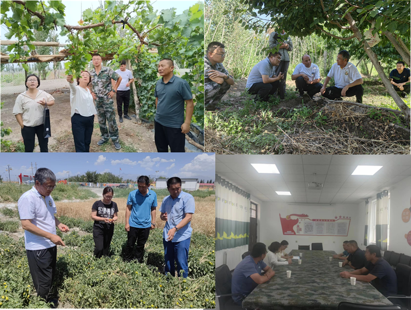 林果业科技特派员服务团队-新闻-闫芬芬8 林果业科技特派员服务团队-新闻-闫芬芬8