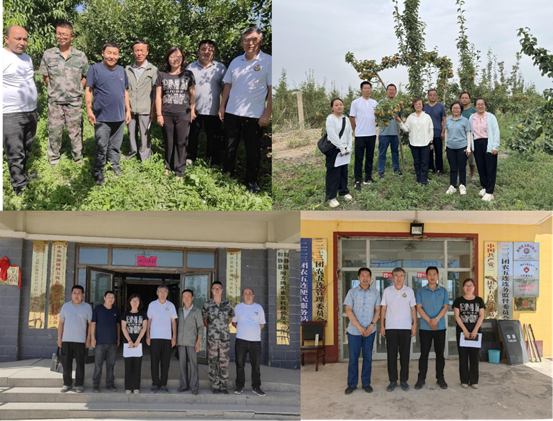 林果业科技特派员服务团队-新闻-闫芬芬8 林果业科技特派员服务团队-新闻-闫芬芬8