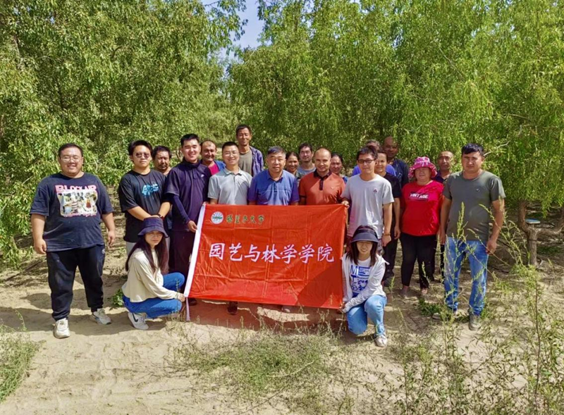 图片_副本 图片_副本