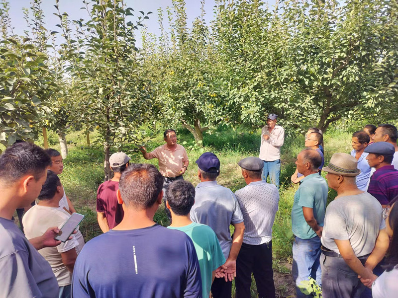 IMG_2440(20230908-025707)_副本