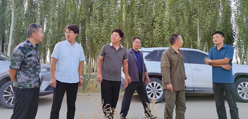 图片1_副本 图片1_副本