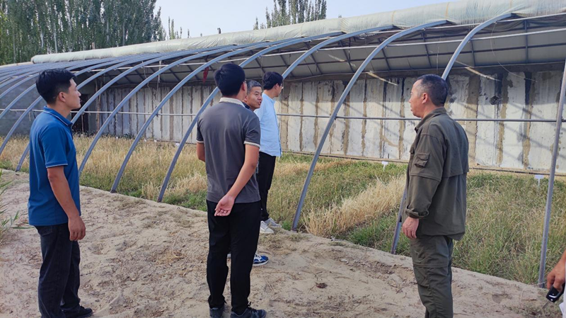 图片2_副本 图片2_副本