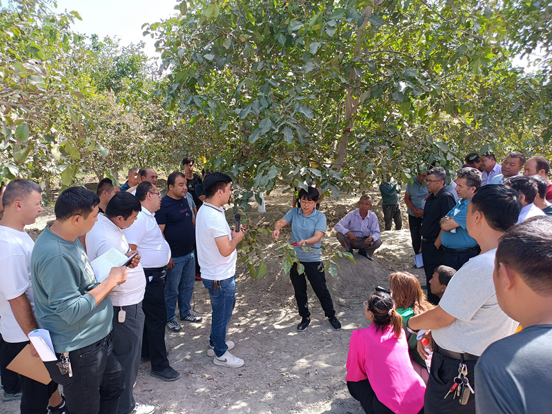 微信图片_20230929122824_副本 微信图片_20230929122824_副本