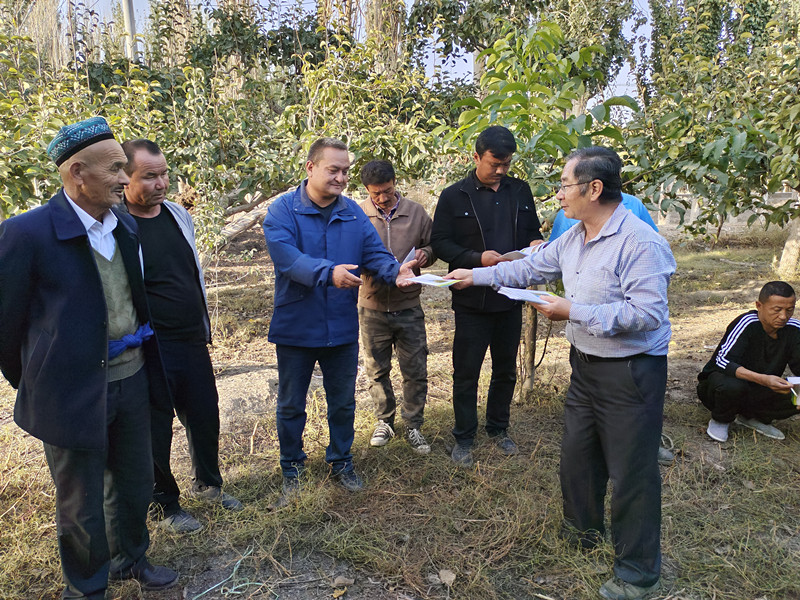 IMG_20231013_181744_副本