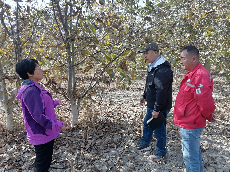 照片1_副本 照片1_副本