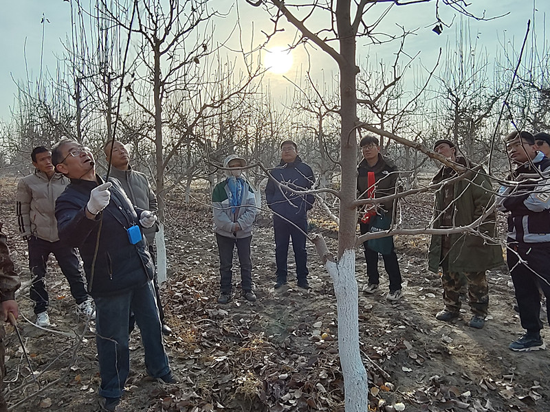 IMG_20231127_110018_副本