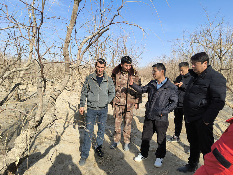 图3_副本 图3_副本