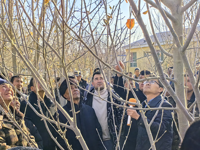 图二_副本 图二_副本