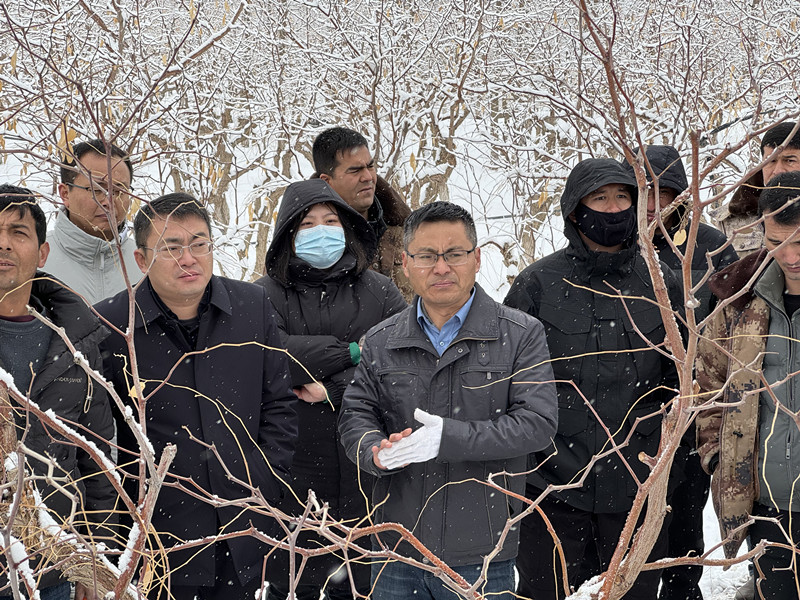 王振磊老师雪天给团场职工指导工作_副本 王振磊老师雪天给团场职工指导工作_副本