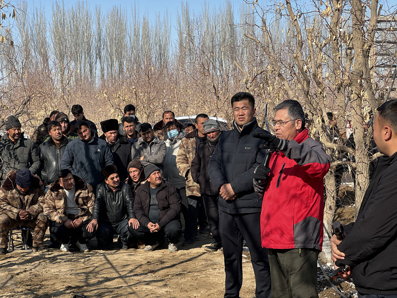 王新建老师为连队两委及职工讲解修剪要点_副本 王新建老师为连队两委及职工讲解修剪要点_副本