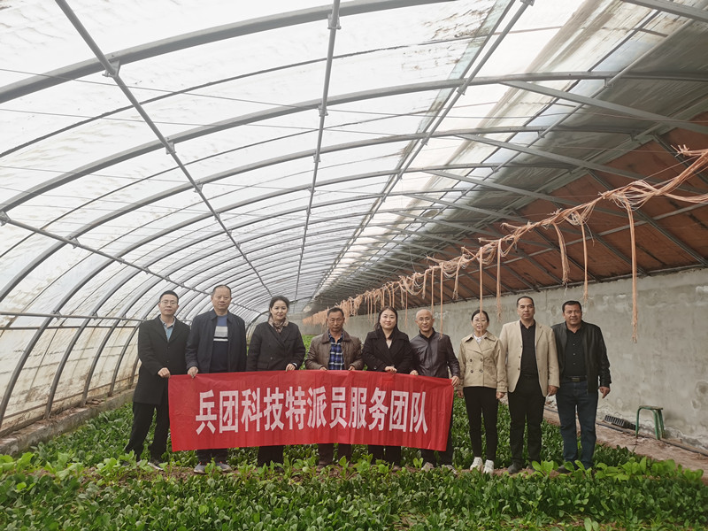 IMG_20240316_185045_副本 IMG_20240316_185045_副本