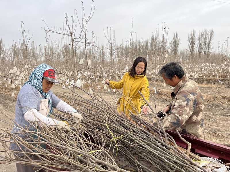 图片1_副本 图片1_副本