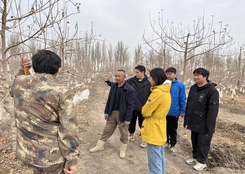 图片3_副本 图片3_副本