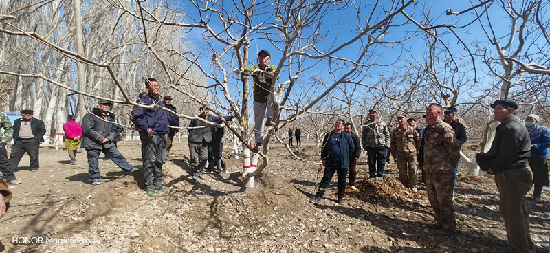 QQ图片20240327105016_副本