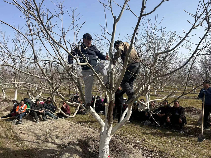 QQ图片20240327104912_副本 QQ图片20240327104912_副本