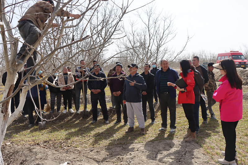 QQ图片20240327105011_副本