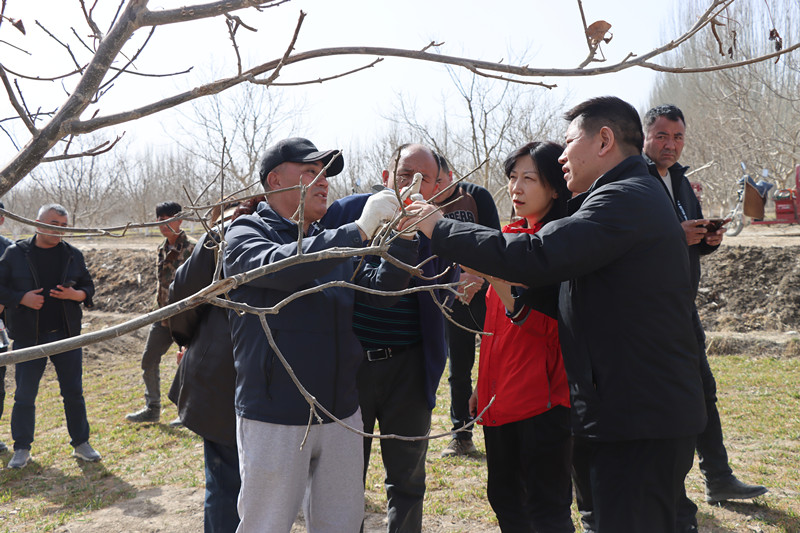 QQ图片20240327105026_副本