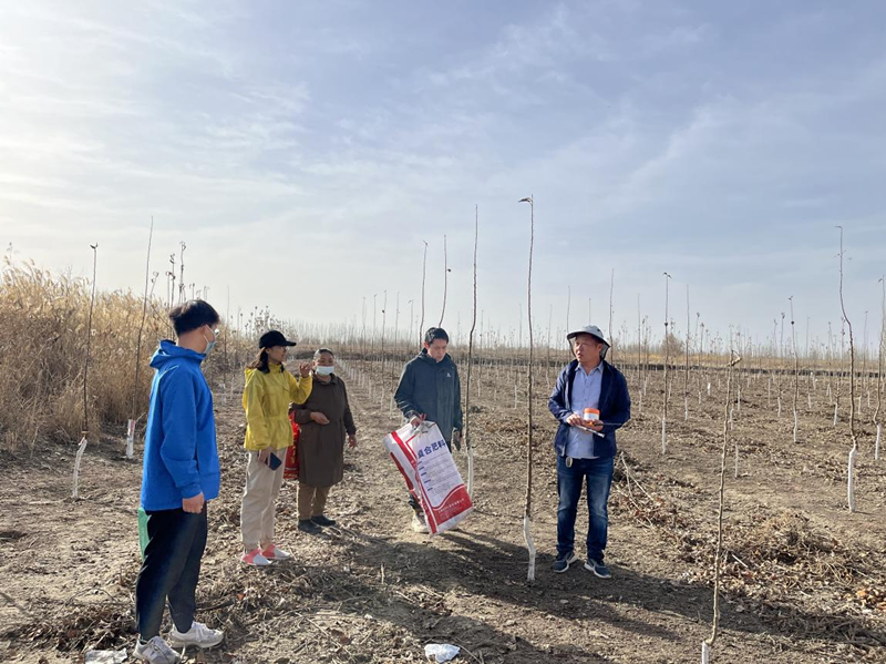 图片1_副本 图片1_副本