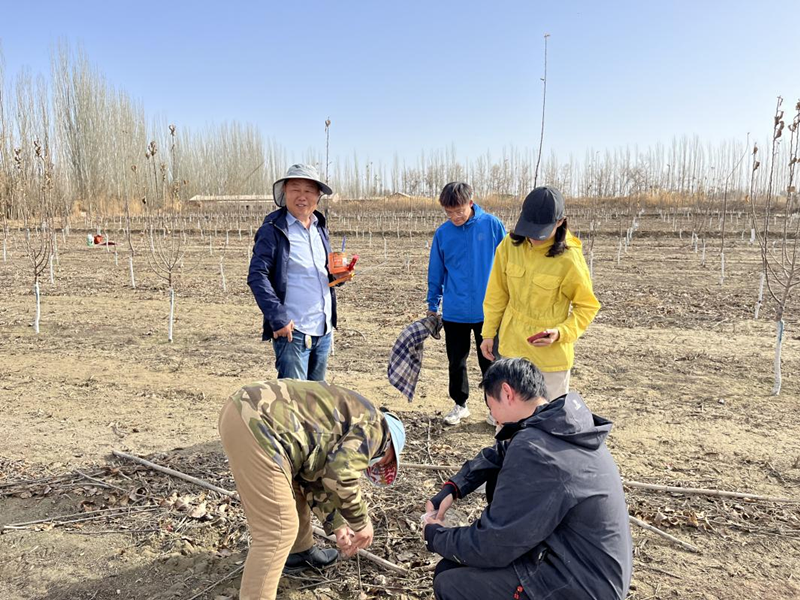 图片2_副本 图片2_副本