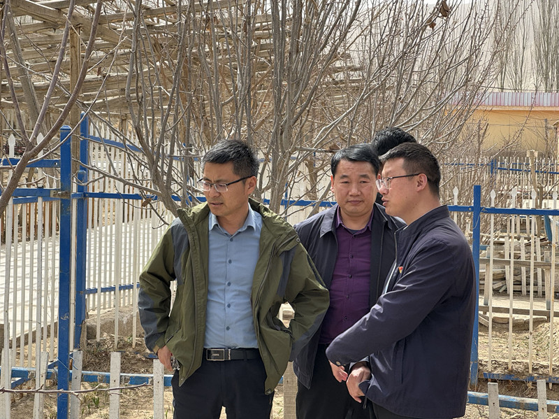 王振磊教授与两委开展现场技术培训_副本 王振磊教授与两委开展现场技术培训_副本